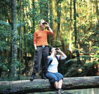 Birdwatching on the Fraser Coast - Holiday Find