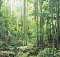 Python Rock - Holiday Find