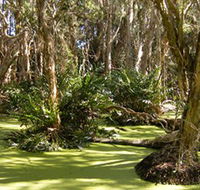 Arkarra Lagoons and Tea Gardens - Holiday Find