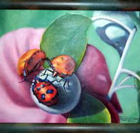 Kingaroy Shire Art Gallery - Holiday Find