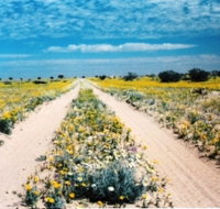 Birdsville Track - Holiday Find