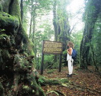 Tooloona Creek circuit - Holiday Find