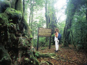 Tooloona Creek Circuit - Holiday Find 0