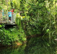 Djiru National Park - Holiday Find