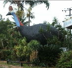 The Big Cassowary - Holiday Find