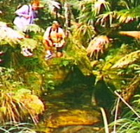 The Tombs Circuit - Holiday Find