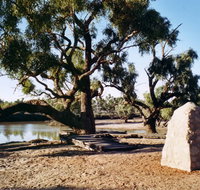 Burke and Wills Dig Tree - Holiday Find