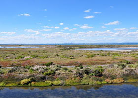 Point Cook Coastal Park - Holiday Find 0