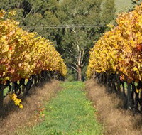 Wild Dog Winery  Restaurant - Holiday Find