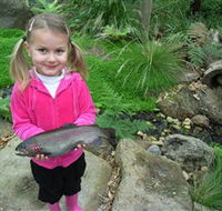 Wild Food Farm  Cafe - Holiday Find