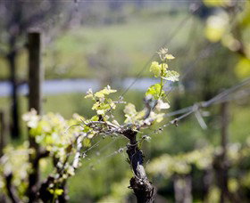 Elan Vineyard And Winery - Holiday Find 0