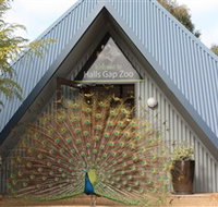 Halls Gap Zoo - Holiday Find