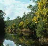 Warrandyte State Park - Holiday Find