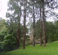Mount Dandenong Arboretum - Holiday Find