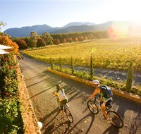 Boyntons Feathertop Winery - Holiday Find