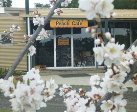 Rayner's Orchard - Holiday Find 0