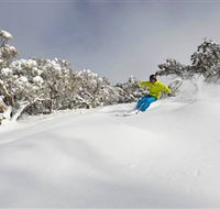 Mt Buller and Mt Stirling Alpine Resort - Holiday Find