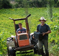 Kellybrook Winery  Kelly Brothers Cider - Holiday Find