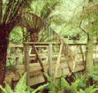 Mount Worth State Park - Holiday Find