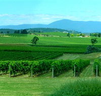Acacia Ridge Vineyard - Holiday Find