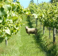 Passing Clouds - Holiday Find