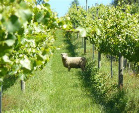 Passing Clouds - Holiday Find 0