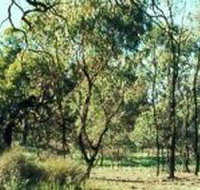 Leaghur State Park - Holiday Find