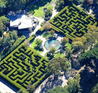 Ashcombe Maze  Lavender Gardens - Holiday Find