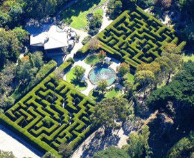 Ashcombe Maze & Lavender Gardens - Holiday Find 0