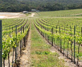 M Chapoutier Australia - Holiday Find 0