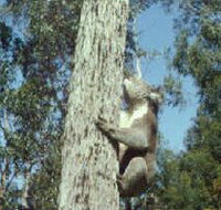 Creswick Regional Park - Holiday Find