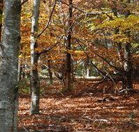 RJ Hamer Arboretum - Holiday Find