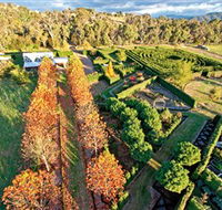 High Country Maze - Holiday Find