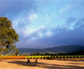 Mount Avoca - Holiday Find 0