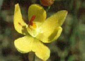 Langwarrin Flora And Fauna Reserve - Holiday Find 0