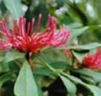 Alfred National Park