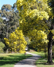 Surrey Hills VIC Holiday Find