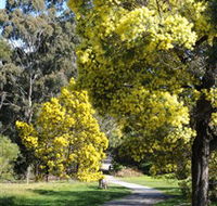 Wattle Park - Holiday Find