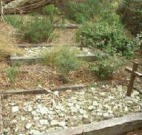 Collins Settlement Historic Site - Holiday Find