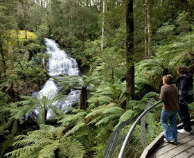 Great Otway National Park - Holiday Find 0