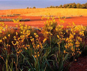Royal Botanic Gardens Victoria Cranbourne - Holiday Find 0