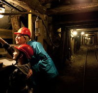 State Coal Mine - Holiday Find