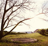 Scotchmans Hill - Holiday Find