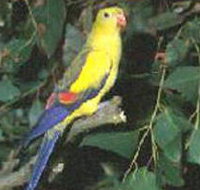 Lake Hindmarsh Reserve - Holiday Find