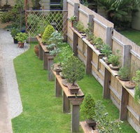 Bonsai Island - Holiday Find