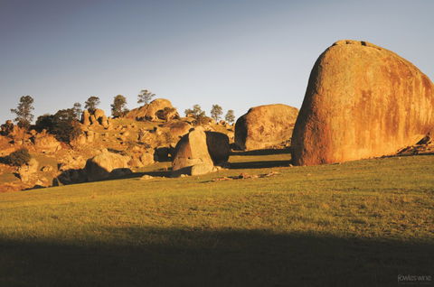 Fowles Wine - Holiday Find 3