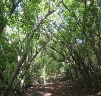 Eucalypt Trail - Holiday Find
