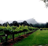 Cambewarra Estate Wines - Holiday Find