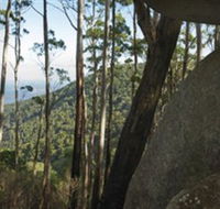 Gulaga National Park - Holiday Find