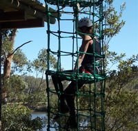 Trees Adventure Shoalhaven - Holiday Find